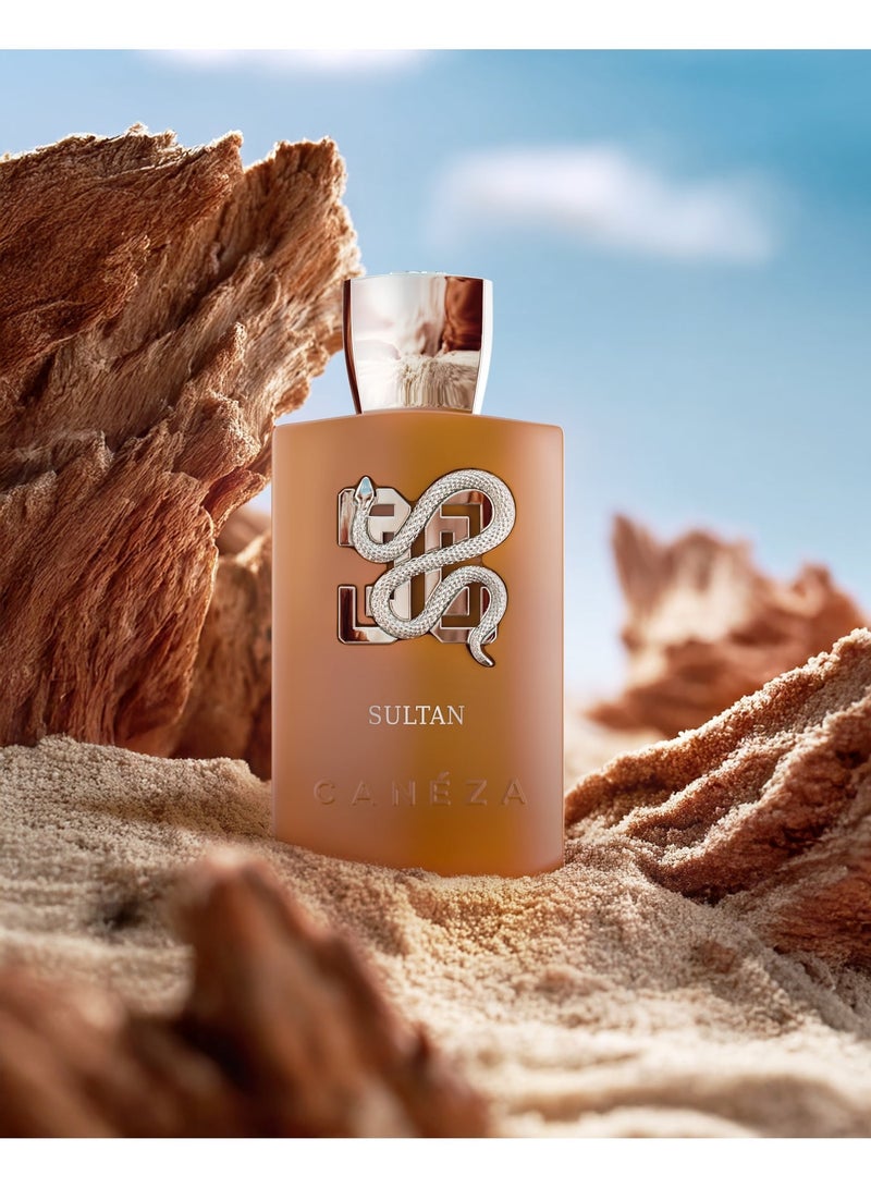 Canéza Perfect Duo Unisex Perfume Combo Set - Gold Intense 100ML (Saffron, Amber & Woods) + Sultan Intense 100ML (Amber, Musk & Guaiac Wood) | Long-Lasting Eau de Parfum - Image 3